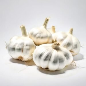 garlic