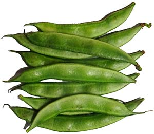 hyacinth bean