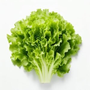 lettuce