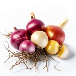 onion