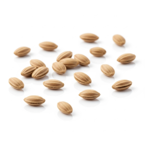 celery seeds
