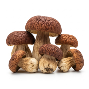dried porcini mushrooms
