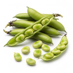 fava beans