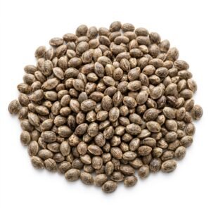 hemp seeds