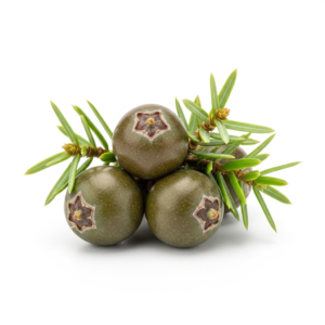 juniper berries