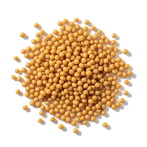 mustard seeds
