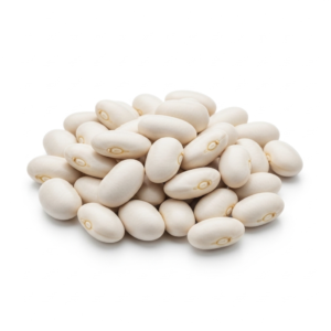 navy beans