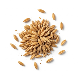 rye grains