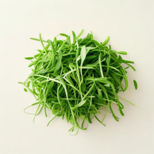 Home alfalfa sprouts
