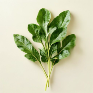 Home amaranth leaves