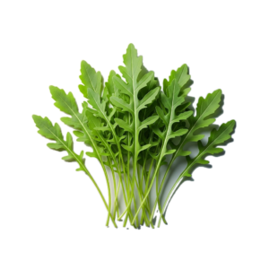 Home arugula
