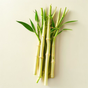 baby bamboo shoots