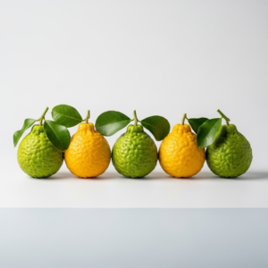 bergamot