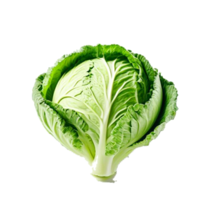 brassica