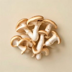 button mushroom