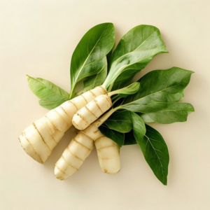 cassava leaves