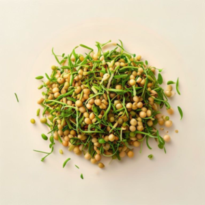 chickpea sprouts