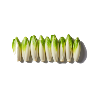 chicory