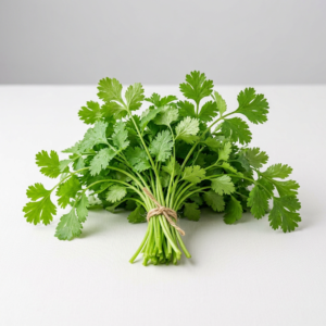 cilantro