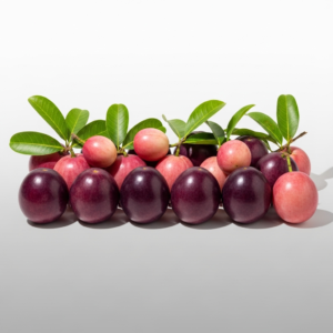 cocoplum