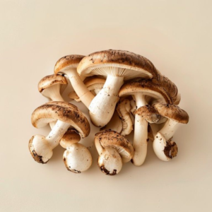 cremini mushroom