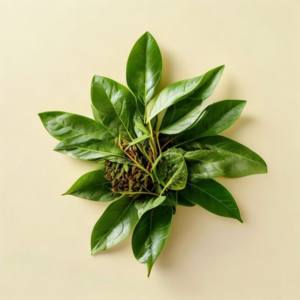 curry leaves