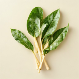 drumstick leaves