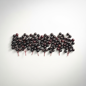 elderberry
