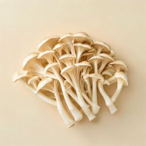enoki mushroom