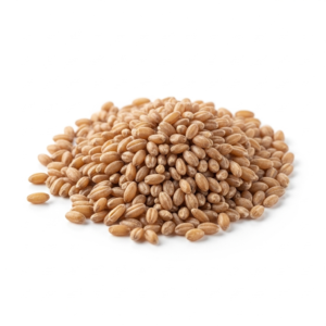 farro