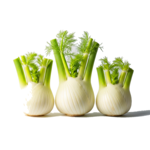 fennel