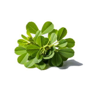 fenugreek leaves