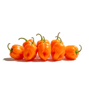 habanero