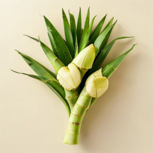 heart of palm
