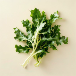 kelp