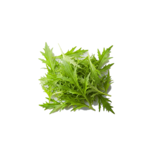mizuna