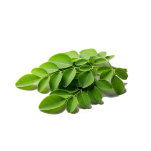 moringa leaves