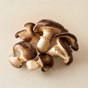 portobello mushroom