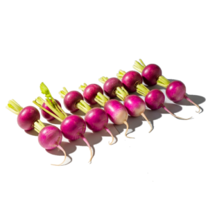 purple radish