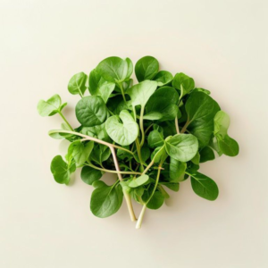 purslane