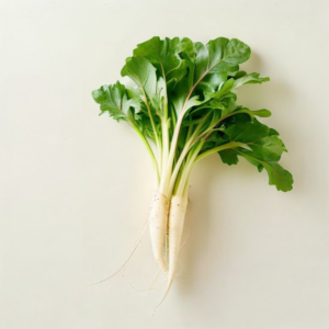 radish sprout