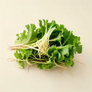 sea vegetable