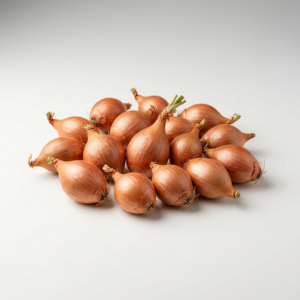shallot