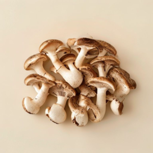 shiitake mushroom