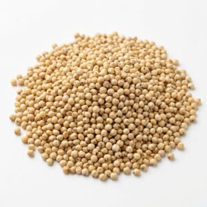 sorghum