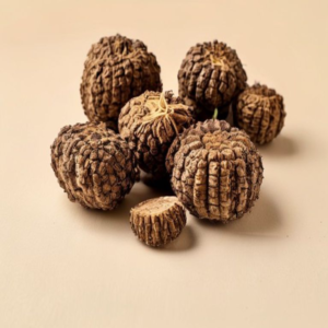 truffle