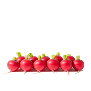 watermelon radish